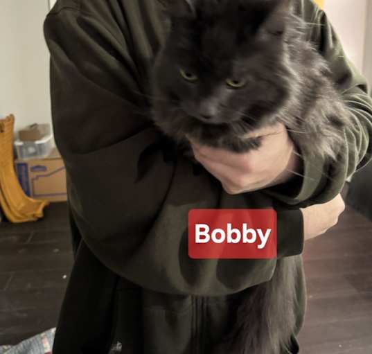 Photo of Bobby and Prince