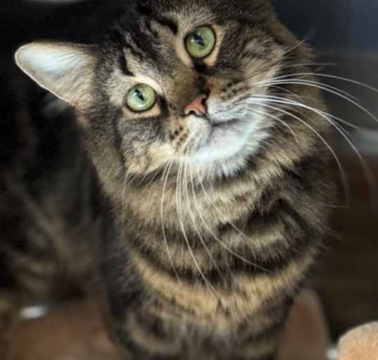 Photo of Cali