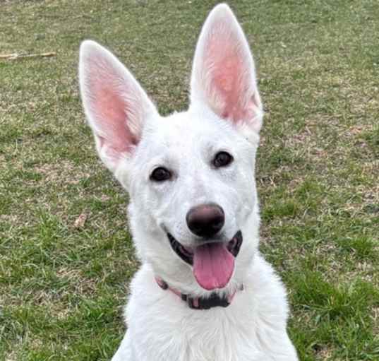 Photo of Luna