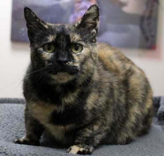Photo of Solara