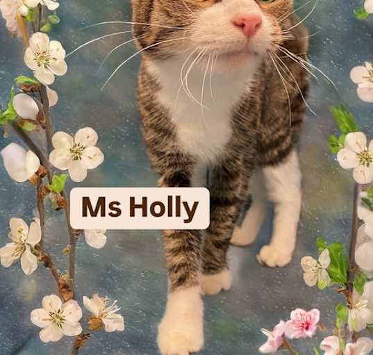 Photo of Ms Holly at Martinez Pet Food Express   April 26th