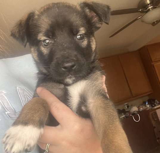 Photo of Winnie