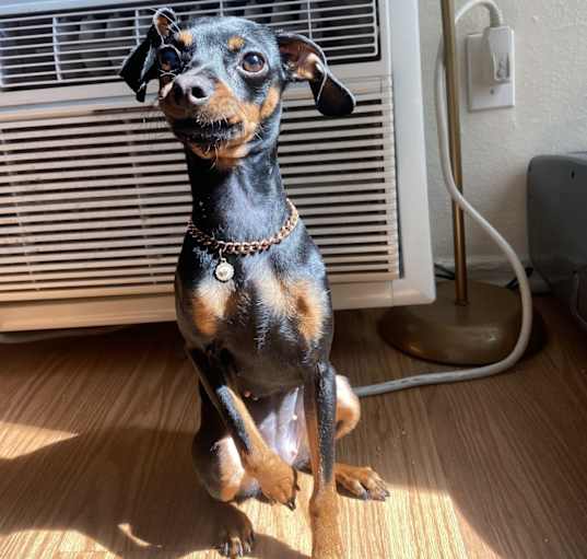 Photo of Emmy