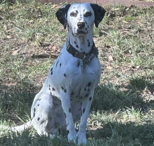 Photo of Murphy