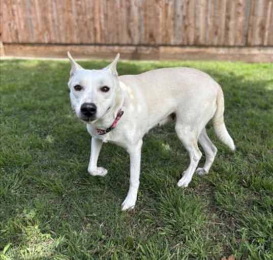 Photo of PEACHES