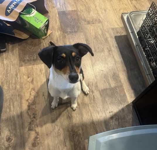 Photo of DAISY