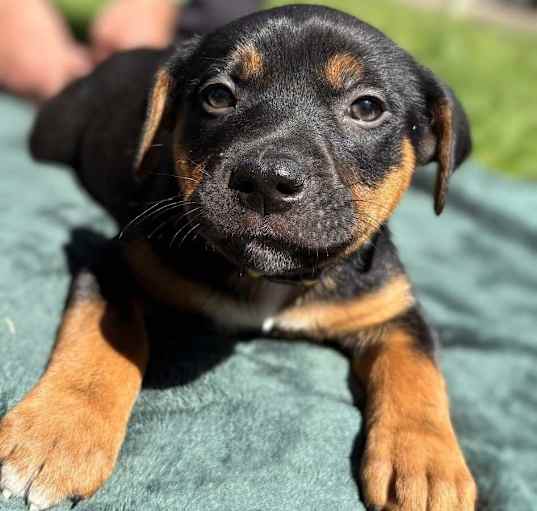 Photo of Happy