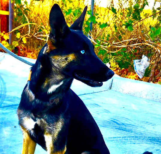 Photo of SKYE