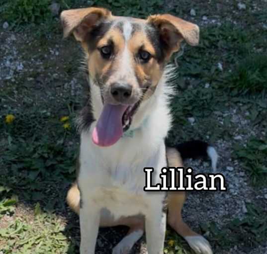 Photo of Lillian