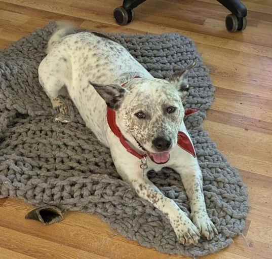 Photo of Haddie