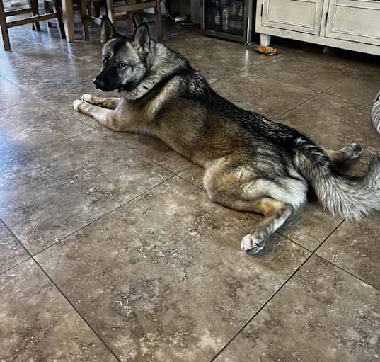 Photo of Mila