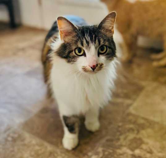 Photo of Beatrice