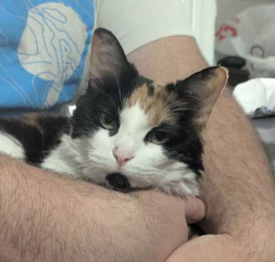 Photo of Coco-Belle