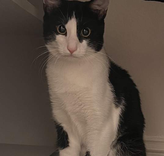 Photo of Xavier
