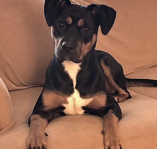 Photo of Chloe