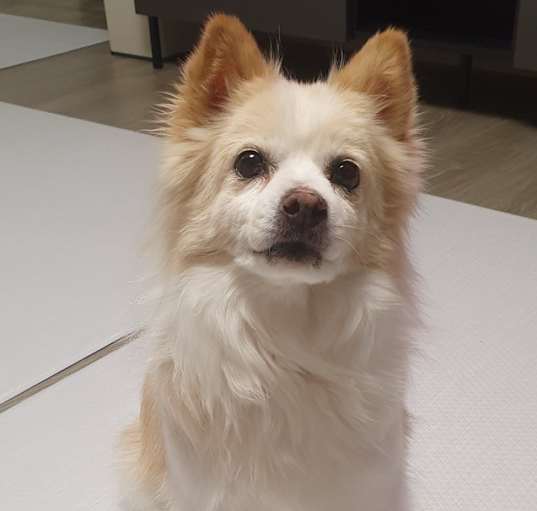 Photo of Nana