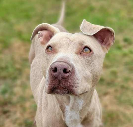 Photo of Anastasia