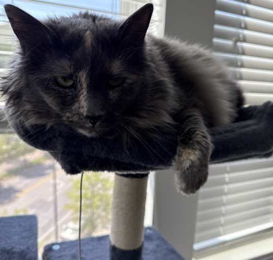 Photo of Marly