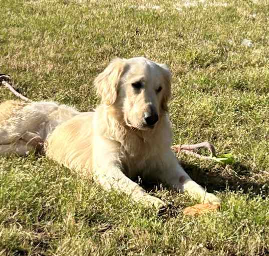 Photo of Bucky