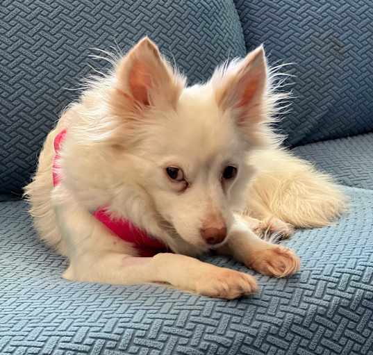 Photo of Mabel