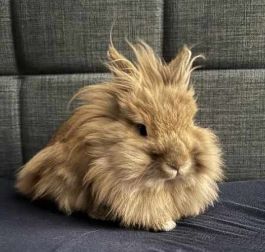 Photo of Edward