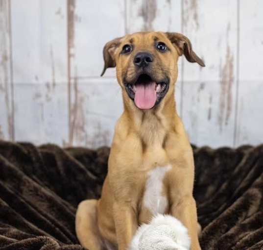 Photo of Lucy