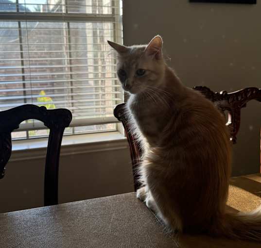 Photo of Alex