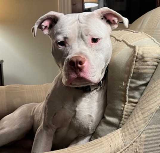 Photo of Thor