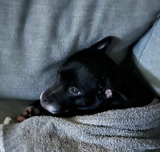Photo of Macy