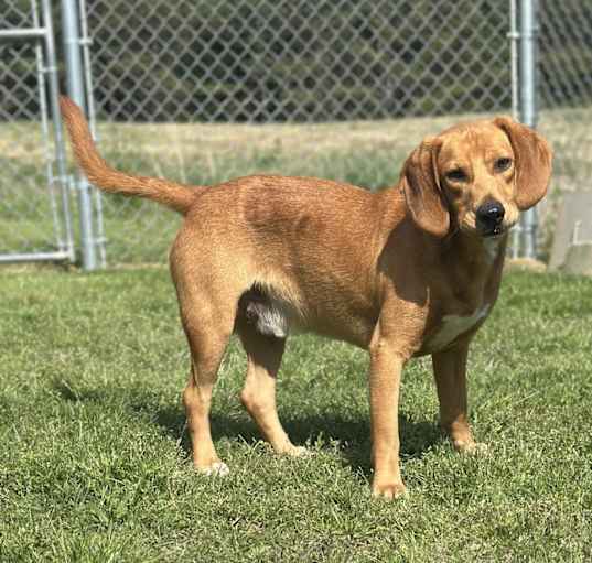 Photo of Tex