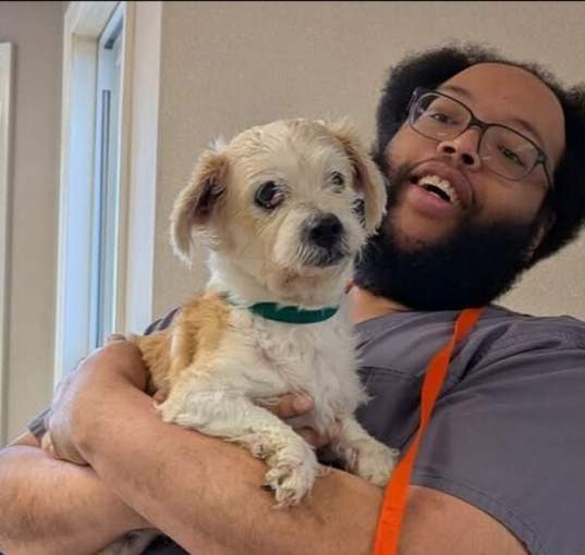 Photo of Pearl