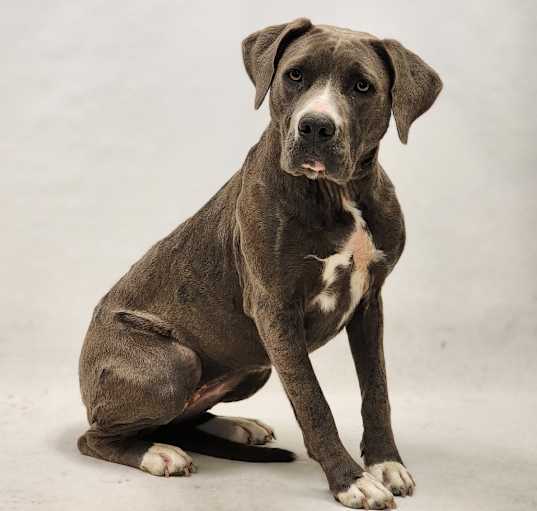 Photo of Silver