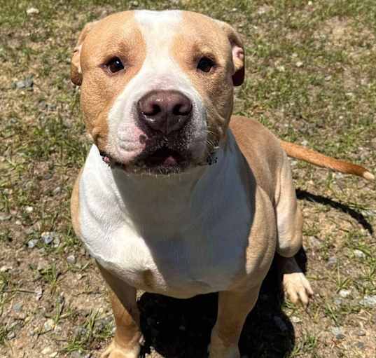 Photo of COLBY/URGENT
