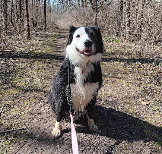 Photo of Phantom