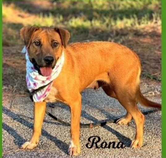 Photo of Rona