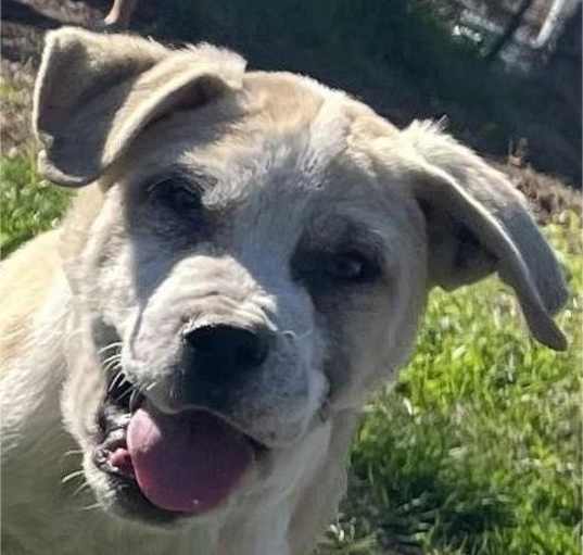Photo of Monty