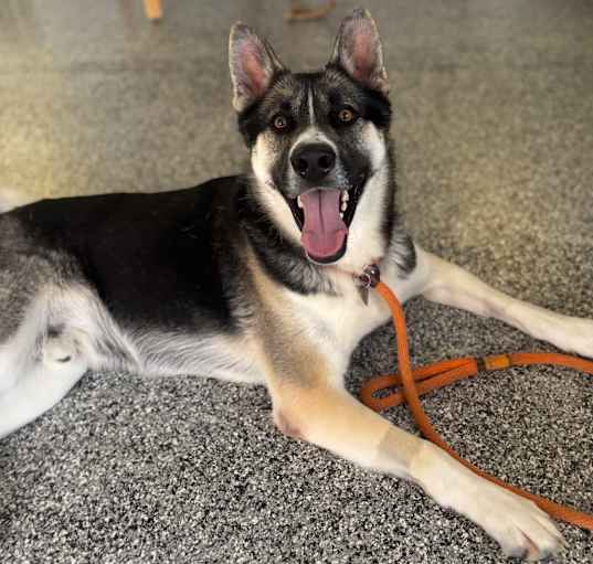 Photo of Axel