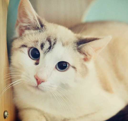Photo of Pretty Boy