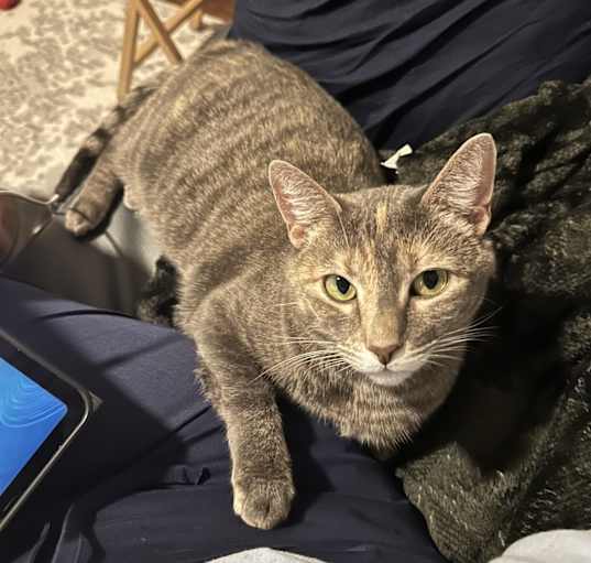 Photo of Zoe