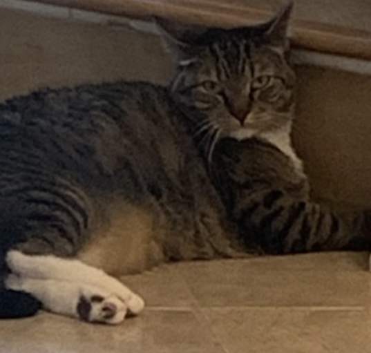Photo of Beanie