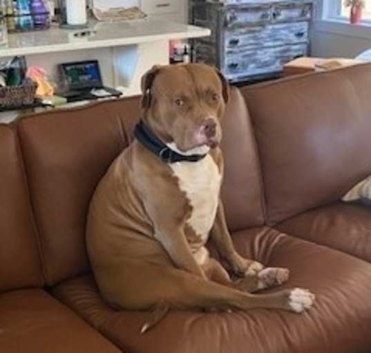 Photo of Chop
