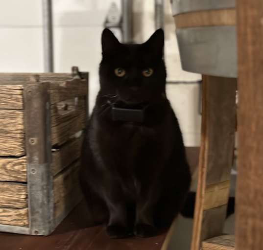 Photo of Vivian