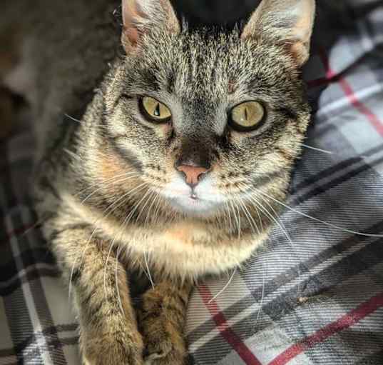 Photo of Molly