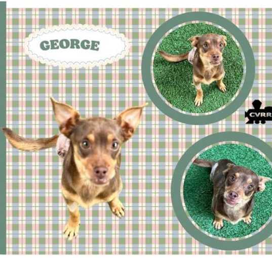 Photo of George