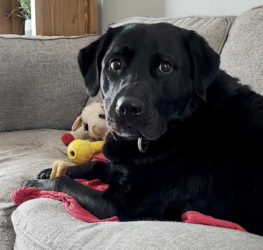Photo of Tucker - Courtesy Listing