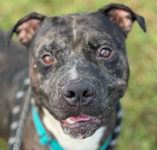 Photo of Bronx