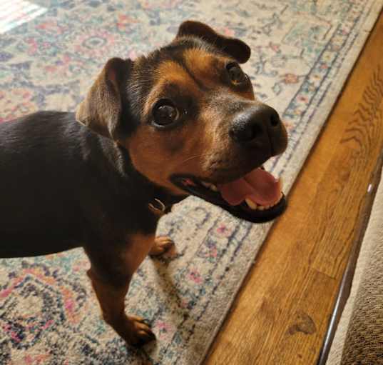Photo of Athena