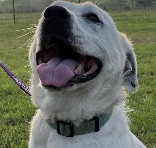 Photo of Fiona