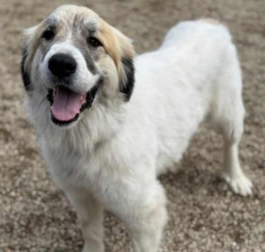Photo of Macy