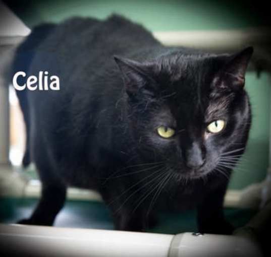 Photo of Celia